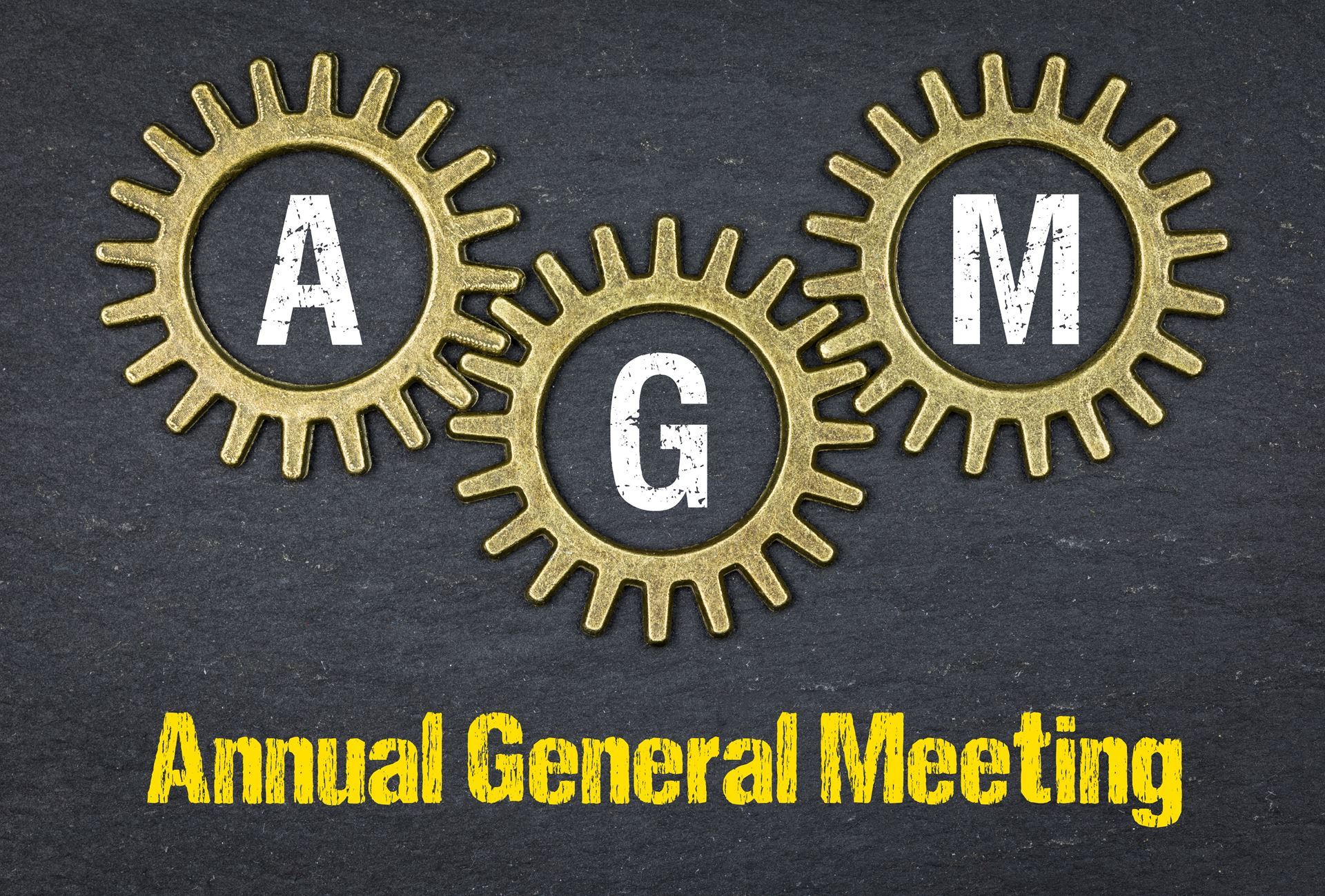 AGM Annual General Meeting